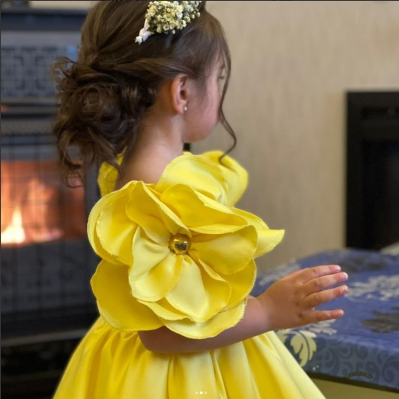 New Fashion Flowers Girls Dres – Baby Xmas Clothing Bewertung und Preis