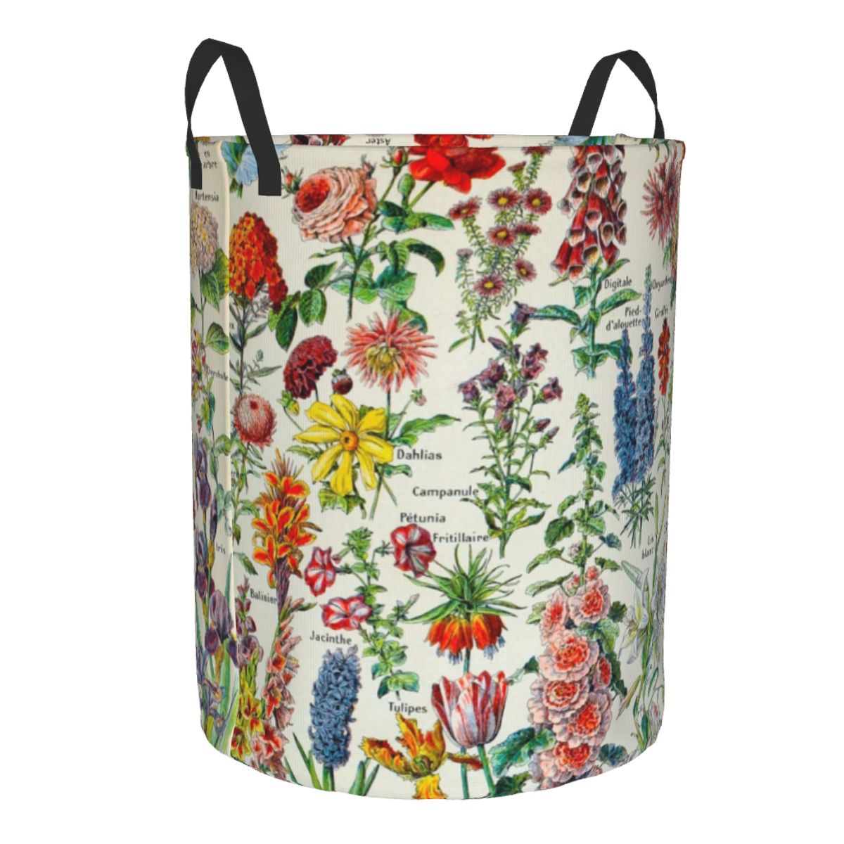Custom Adolphe Millot HD Fleur – Baby Clothing Storage Bewertung und Preis