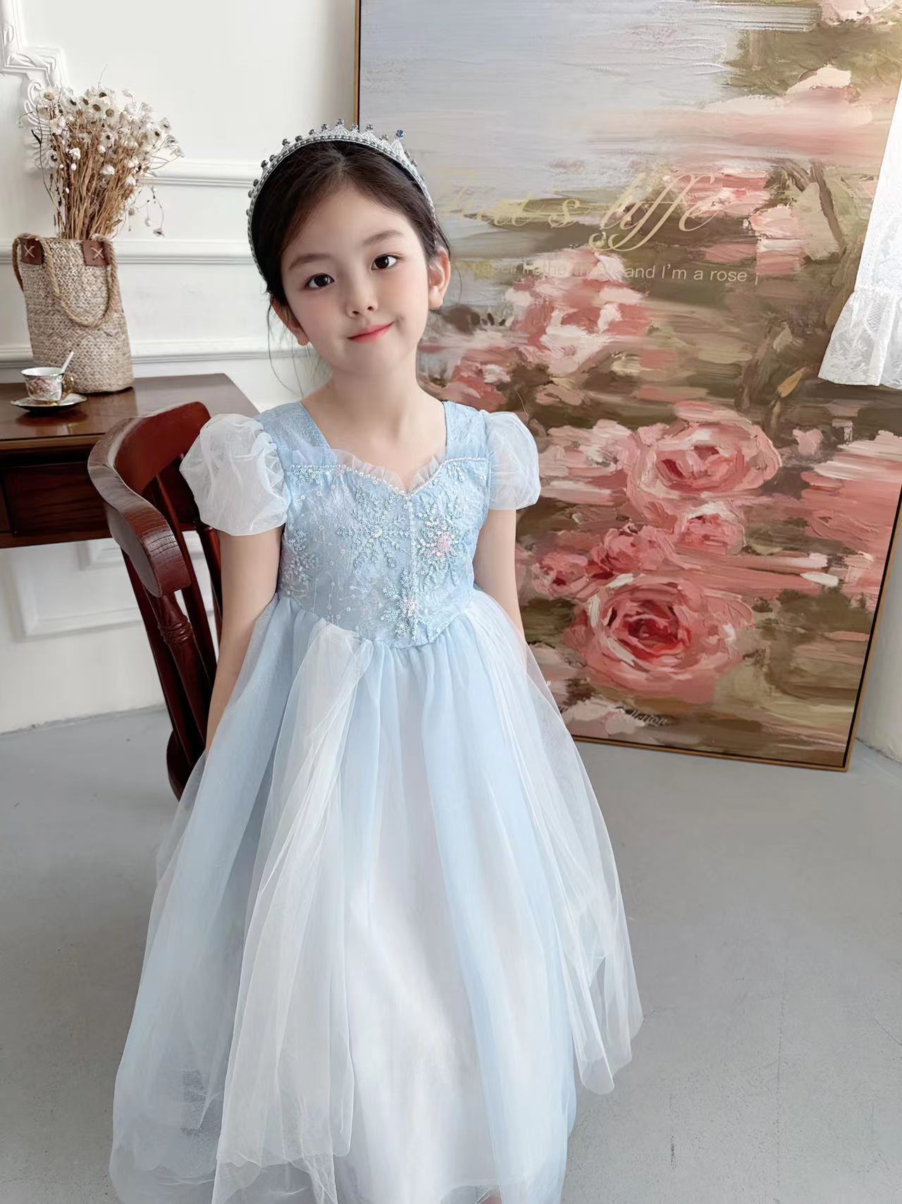 Embroidered Elsa Girls Dress f – Baby Xmas Clothing Bewertung und Preis